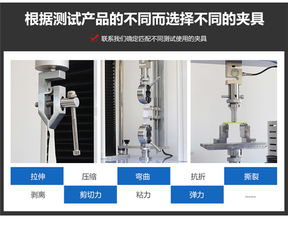 攜手并進，共創未來 濟南與溫州拉力機廠家的技術力量與市場愿景